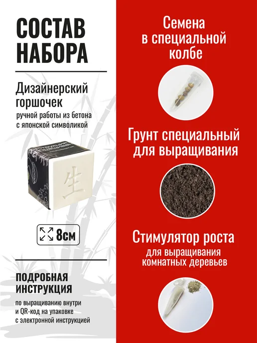 ЭкоКлуб Набор для выращивания растений бонсай Секвойя, вариант, фото 2