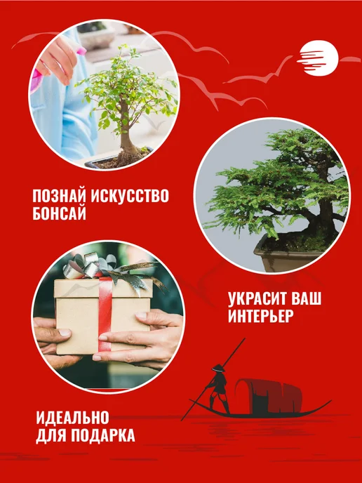 ЭкоКлуб Набор для выращивания растений бонсай Секвойя, вариант, фото 3
