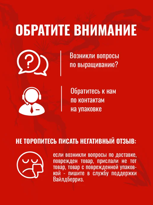 ЭкоКлуб Набор для выращивания растений бонсай Секвойя, вариант, фото 6