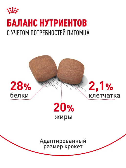 Сухой корм Royal canin Гигантских для собак, взрослые, крупные, 15 кг, фото 4