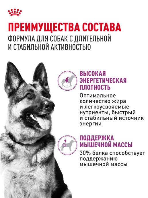 Сухой корм Royal canin Club Energy для собак, мясо, 20 кг, фото 3