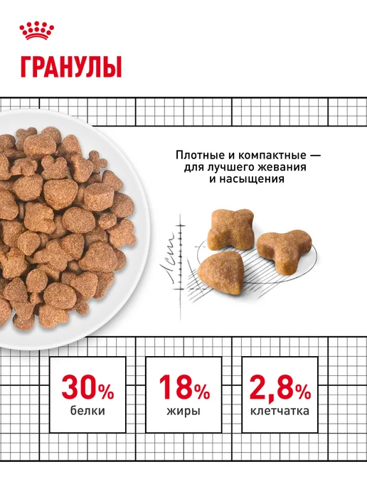 Сухой корм Royal canin Club Energy для собак, мясо, 20 кг, фото 4