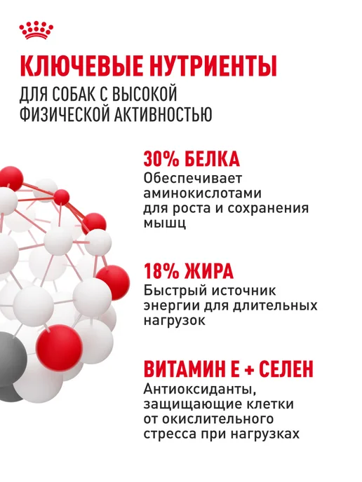 Сухой корм Royal canin Club Energy для собак, мясо, 20 кг, фото 5