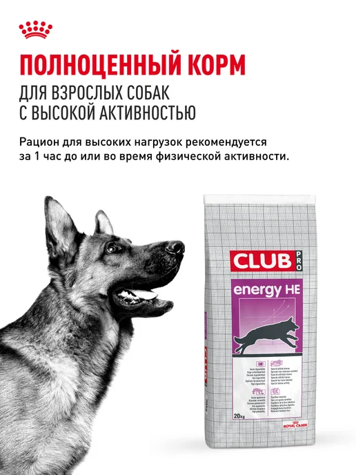 Сухой корм Royal canin Club Energy для собак, мясо, 20 кг, фото 8