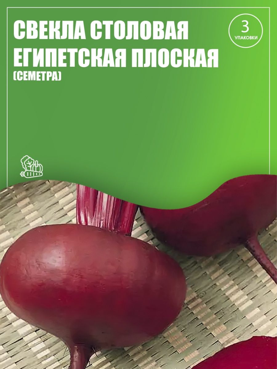 Свекла столовая египетская плоская. Свекла Египетская плоская. Свекла столовая Египетская плоская характеристика и описание.