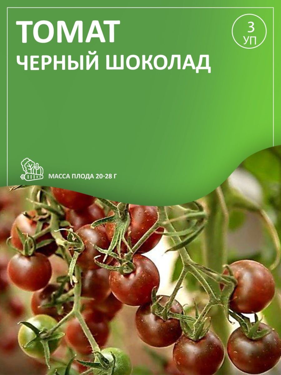 Томат черный шоколад отзывы. Томат черный шоколад вкуснотека. Томат Викуся. Томат Викуся f1 10шт (партнер).