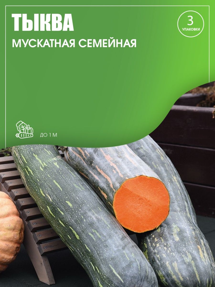 Тыква семейная мускатная схема посадки