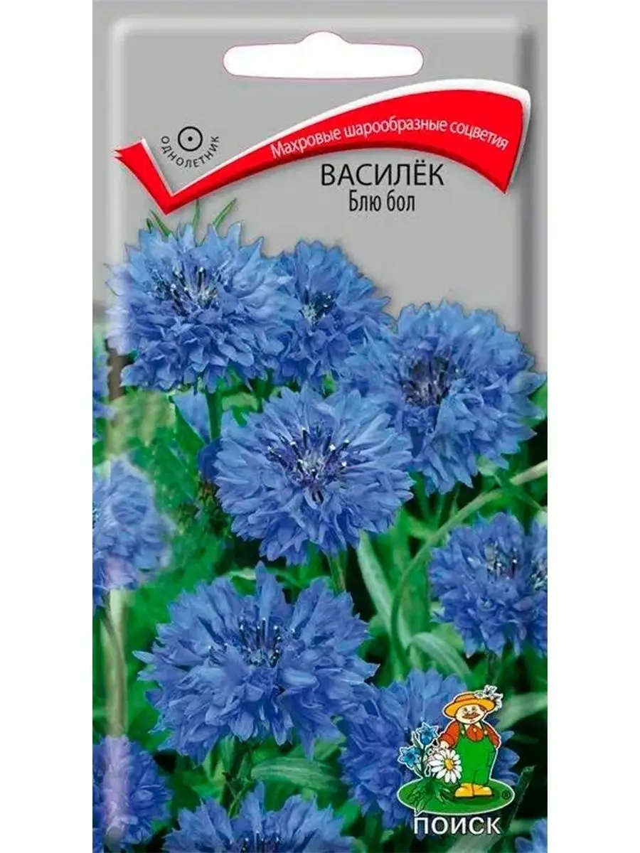 Василек Блю Бол 3 уп Агрохолдинг Поиск 28812615 купить за 149 ₽ в  интернет-магазине Wildberries