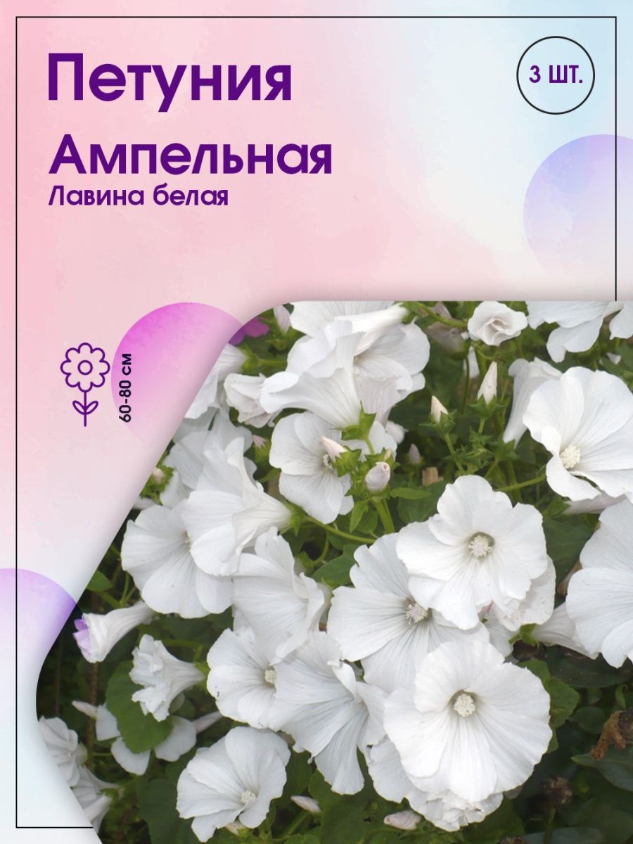 Петуния ампельная лавина белая