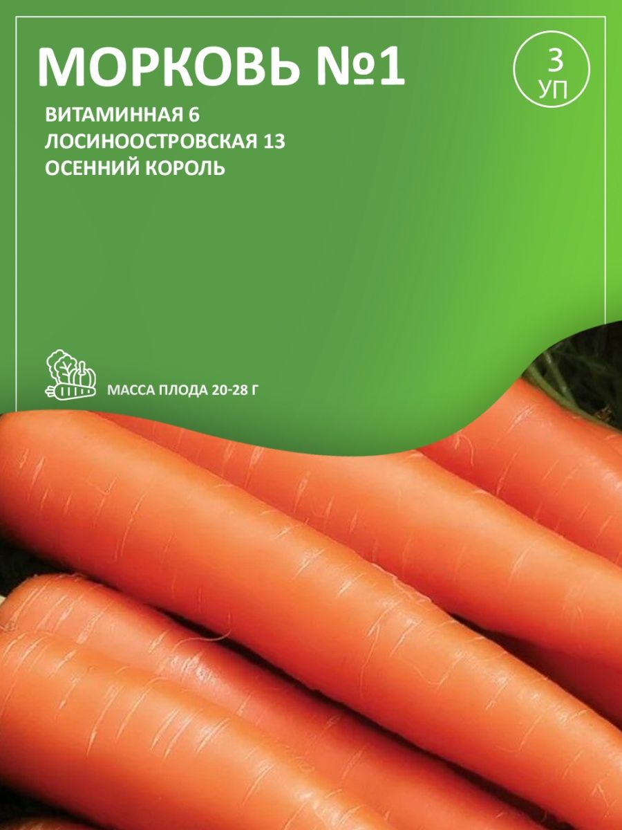 Морковь витаминная описание сорта фото отзывы. Морковь витаминная. Морковь витаминная 6. Морковь витаминная фото. Капуста Лосиноостровская.