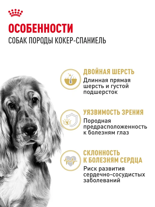 Сухой корм Royal canin Кокер-Спаниель для собак, 3 кг, фото 2