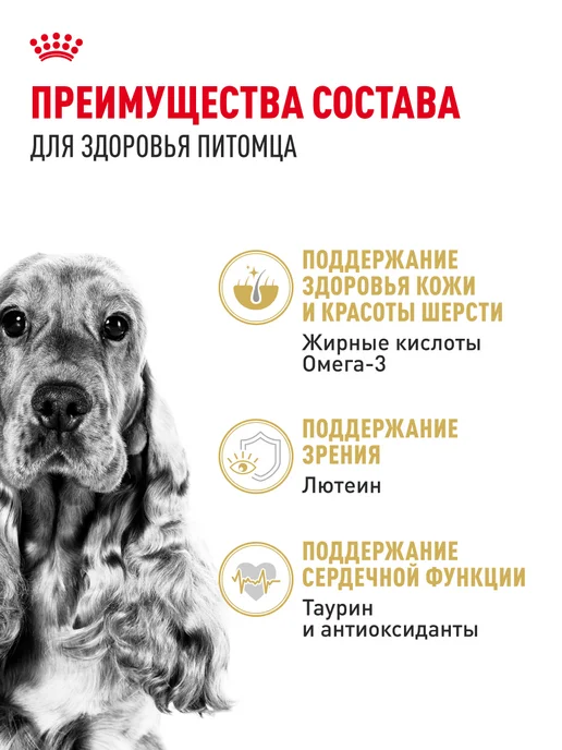 Сухой корм Royal canin Кокер-Спаниель для собак, 3 кг, фото 3