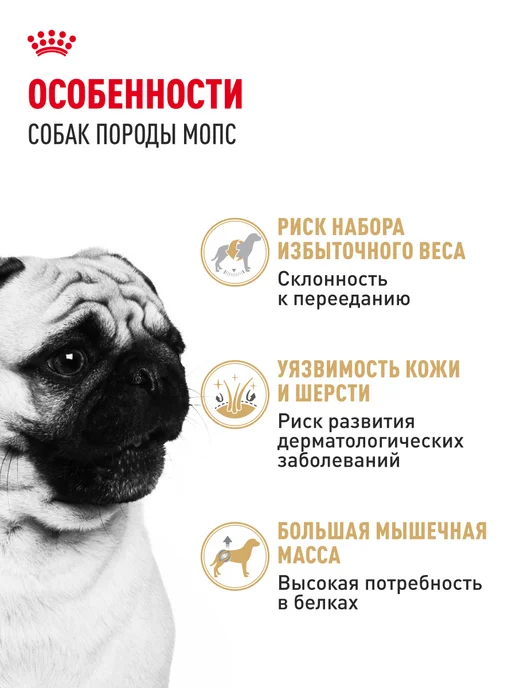 Сухой корм Royal canin Pug Мопс для собак, взрослые, 1,5 кг, фото 2