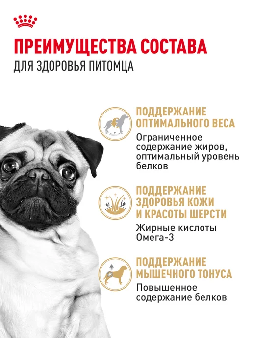 Сухой корм Royal canin Pug Мопс для собак, взрослые, 1,5 кг, фото 3