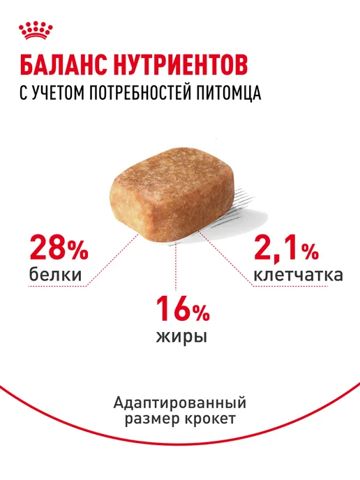 Сухой корм Royal canin Чихуахуа для собак, курица, 3 кг, фото 2