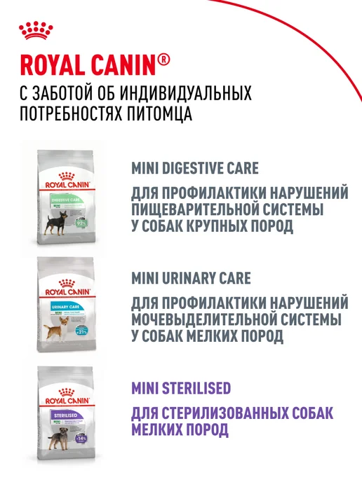 Сухой корм Royal canin Чихуахуа для собак, курица, 3 кг, фото 5