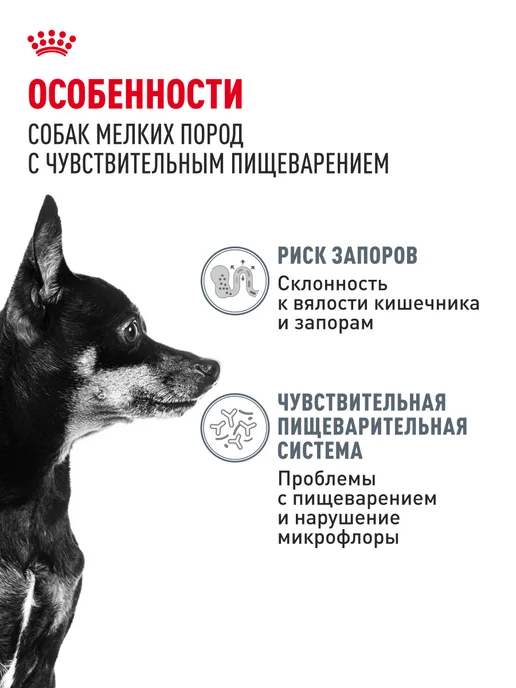 Сухой корм Royal canin Digestive Care для собак, мелкие, 1 кг, фото 2