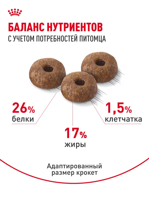 Сухой корм Royal canin Dermacomfort Зуда для собак, мелкие, 1 кг, фото 4