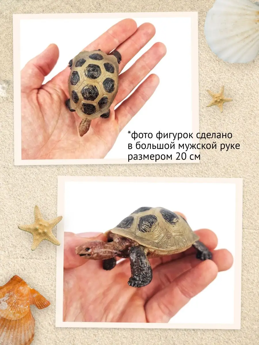 Фигурка Слоновая черепаха, 81604 Derri Animals 28870362 купить за 391 ₽ в  интернет-магазине Wildberries