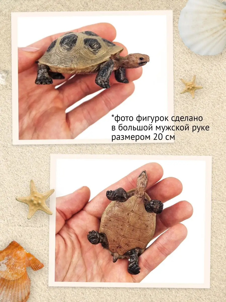 Фигурка Слоновая черепаха, 81604 Derri Animals 28870362 купить за 391 ₽ в  интернет-магазине Wildberries