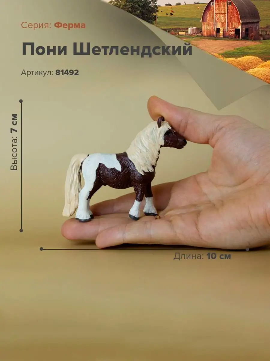 вагина лошади 