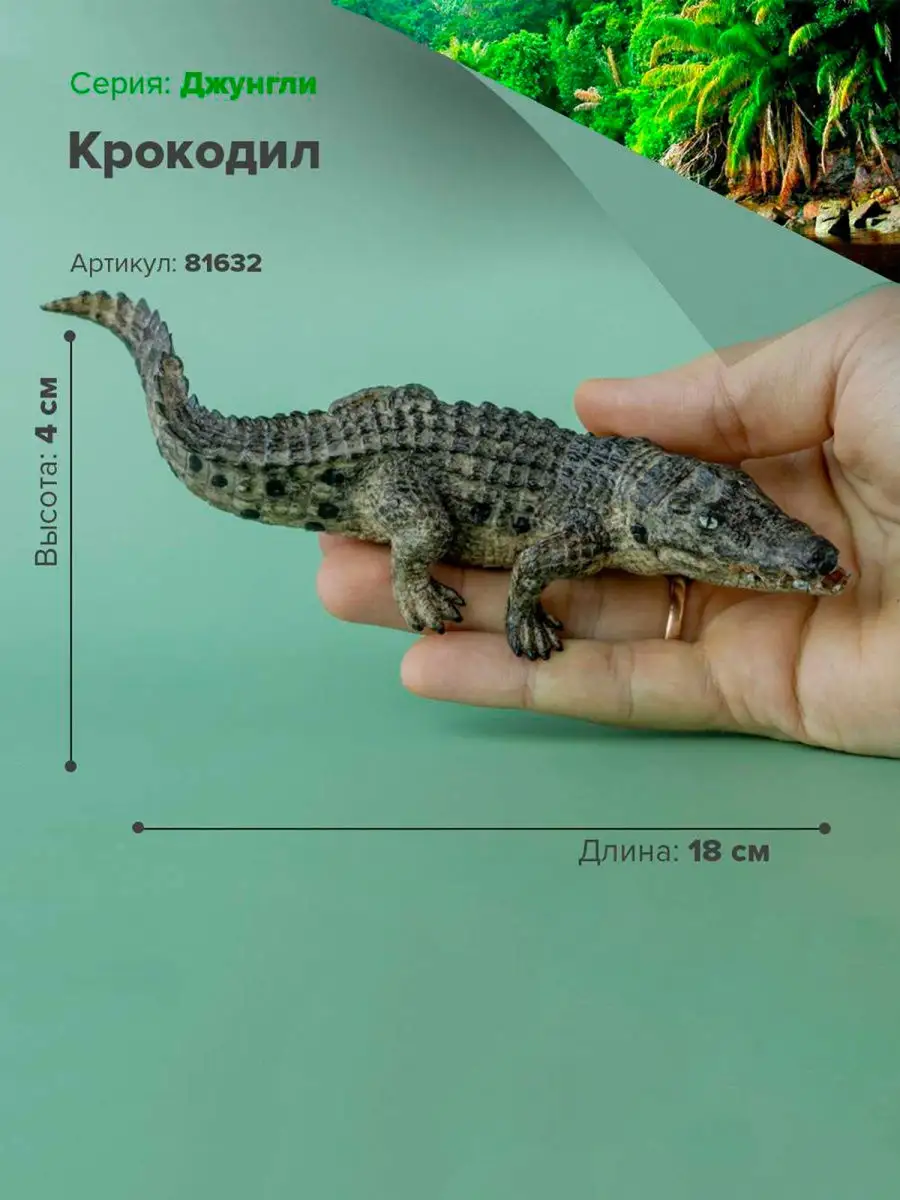 Фигурка животного Крокодил 81632 Derri Animals 28870708 купить за 432 ₽ в  интернет-магазине Wildberries