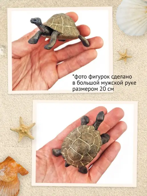 Derri Animals Фигурка Слоновая черепаха, 81605, коричневый, фото 4