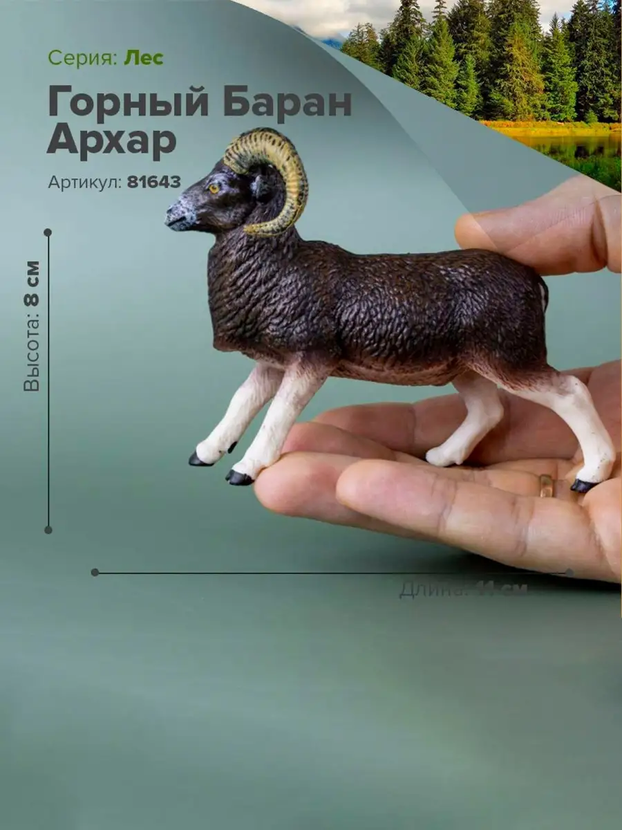 Фигурка животного Горный Баран Архар 81643 Derri Animals 28871120 купить за  408 ₽ в интернет-магазине Wildberries