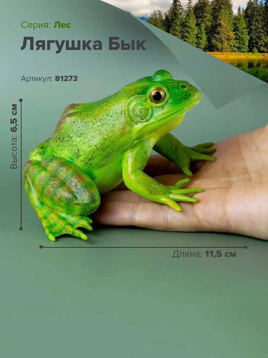 Фигурка животного Лягушка Бык зелёная 81273 Derri Animals 28871181 купить  за 886 ₽ в интернет-магазине Wildberries