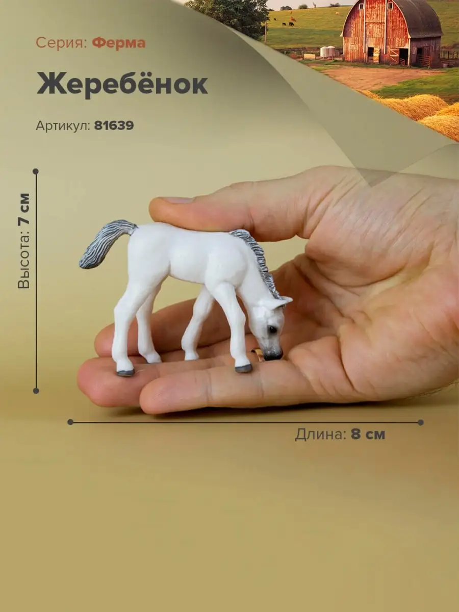 вагина лошади  с 27 марта по 29  апреля 2023 г.! 🔸Форма обучения - очно-заочная! 👤Руководители курса:  Слепченко Юлия Алексеевна,