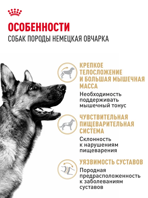 Сухой корм Royal canin Немецкая Овчарка для собак, взрослые, 11 кг, фото 2