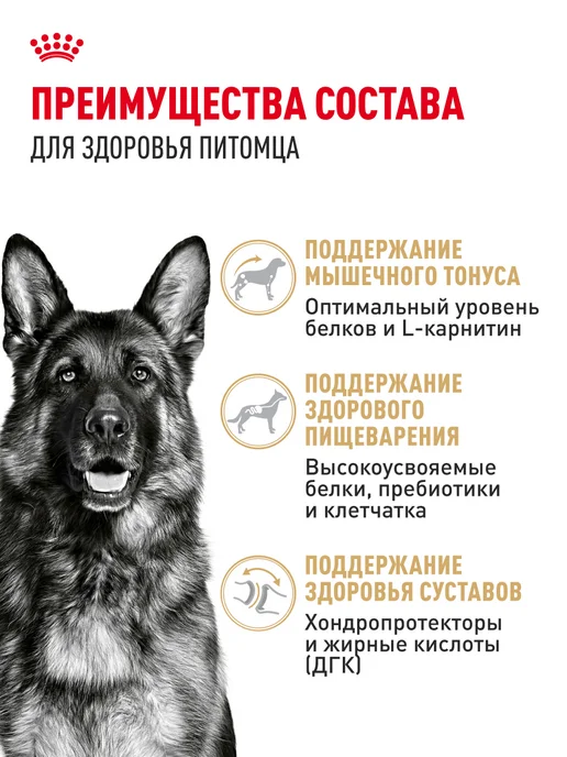 Сухой корм Royal canin Немецкая Овчарка для собак, взрослые, 11 кг, фото 3
