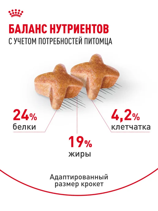 Сухой корм Royal canin Немецкая Овчарка для собак, взрослые, 11 кг, фото 4