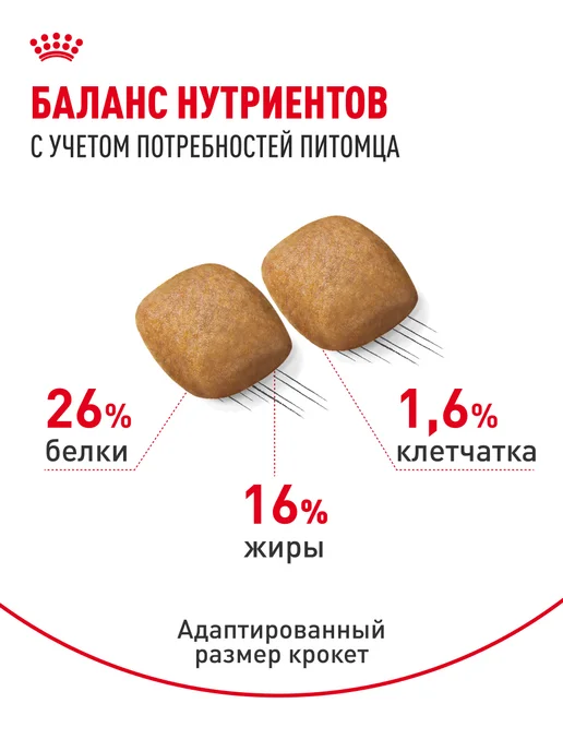 Сухой корм Royal canin Pomeranian Померанский для собак, 1,5 кг, фото 4