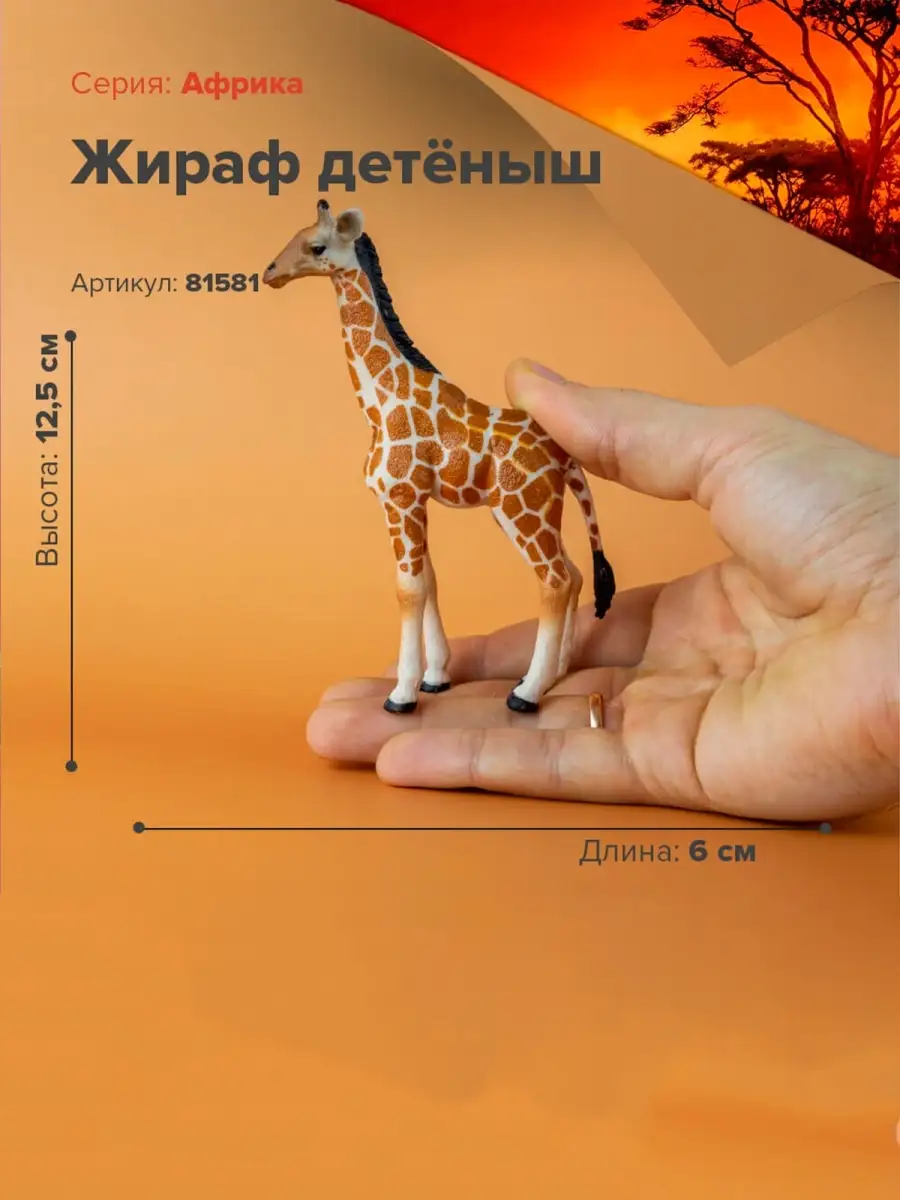 Фигурка животного Жираф детёныш 81581 Derri Animals 28871603 купить за 459  ₽ в интернет-магазине Wildberries