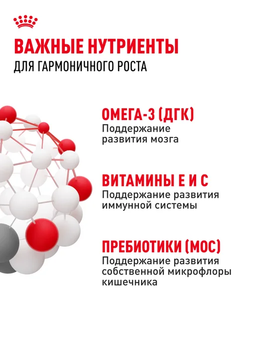 Сухой корм Royal canin для собак, мелкие, щенки, курица, 2 кг, фото 5