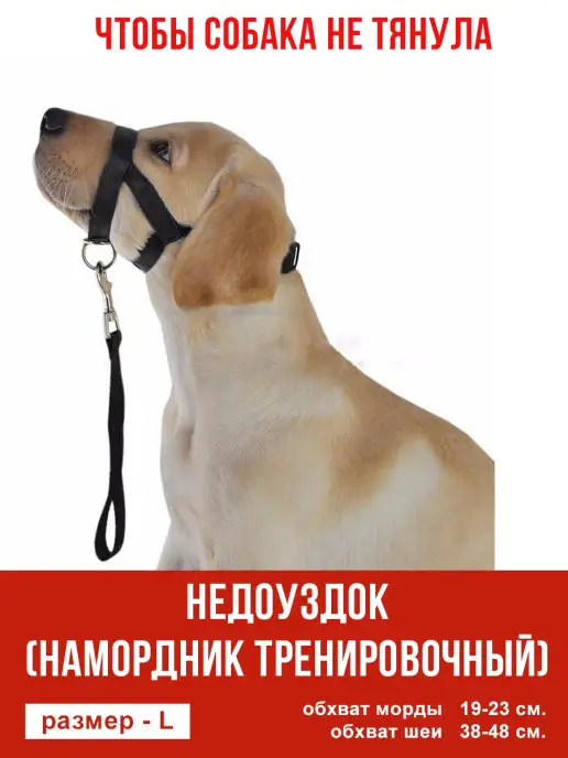 Намордник Gappay МАЛИНУА, колли, бассет СУКА, металл-пластик в магазине dogru