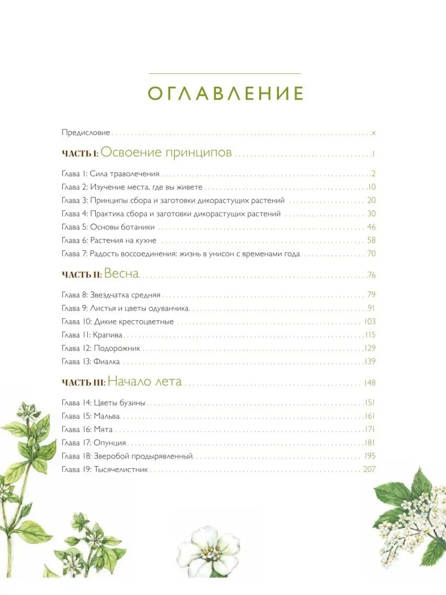 Дикие травы Эксмо 28969322 купить за 1 877 ₽ в интернет-магазине Wildberries