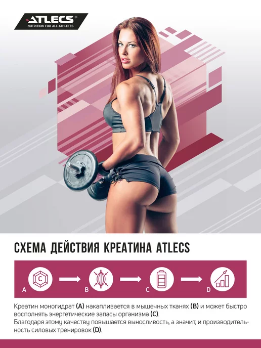 Atlecs Креатин моногидрат порошок 500г creatine monohydrate, 500 г, фото 4