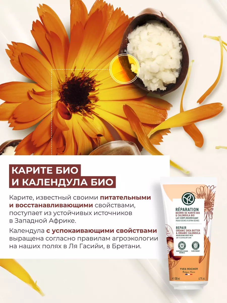 Молочко для Тела с Маслом Карите для Сухой Кожи, 200 мл Yves Rocher  29034916 купить в интернет-магазине Wildberries