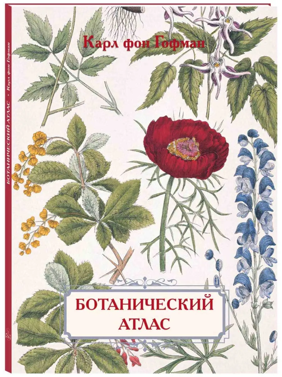 Ботанический атлас. Карл фон Гофман (Памятники культуры) Белый Город /  Воскресный день 29074621 купить за 2 113 ₽ в интернет-магазине Wildberries