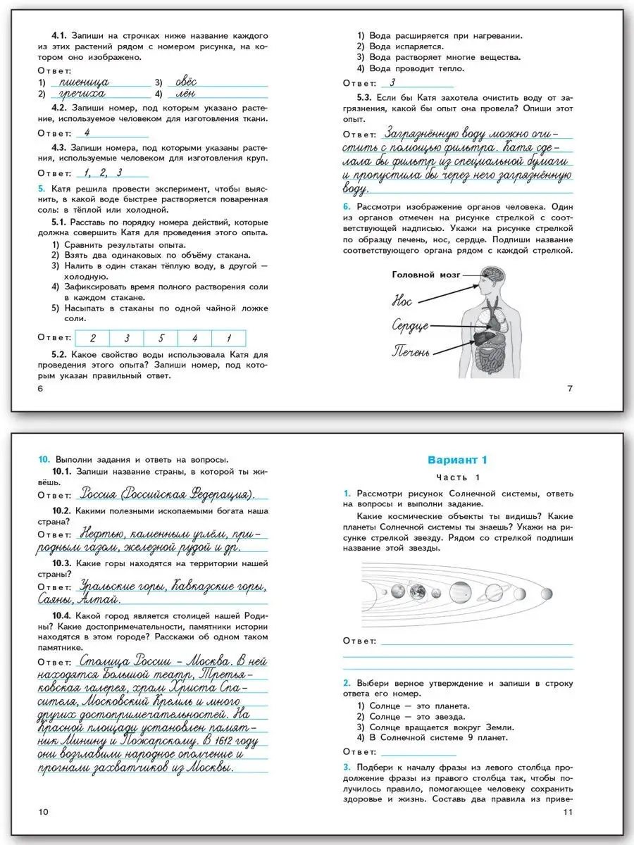 ВПР Окружающий мир. 4 класс ВАКО 29140714 купить в интернет-магазине  Wildberries