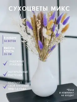 Сухоцветы для вазы, набор сухоцветов TRAVA_DECOR 29140846 купить за 926 ₽ в интернет-магазине Wildberries