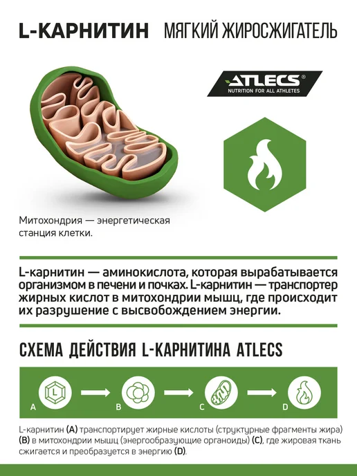 Atlecs L карнитин жидкий для похудения клубника-мохито 1л, 1 л, фото 2