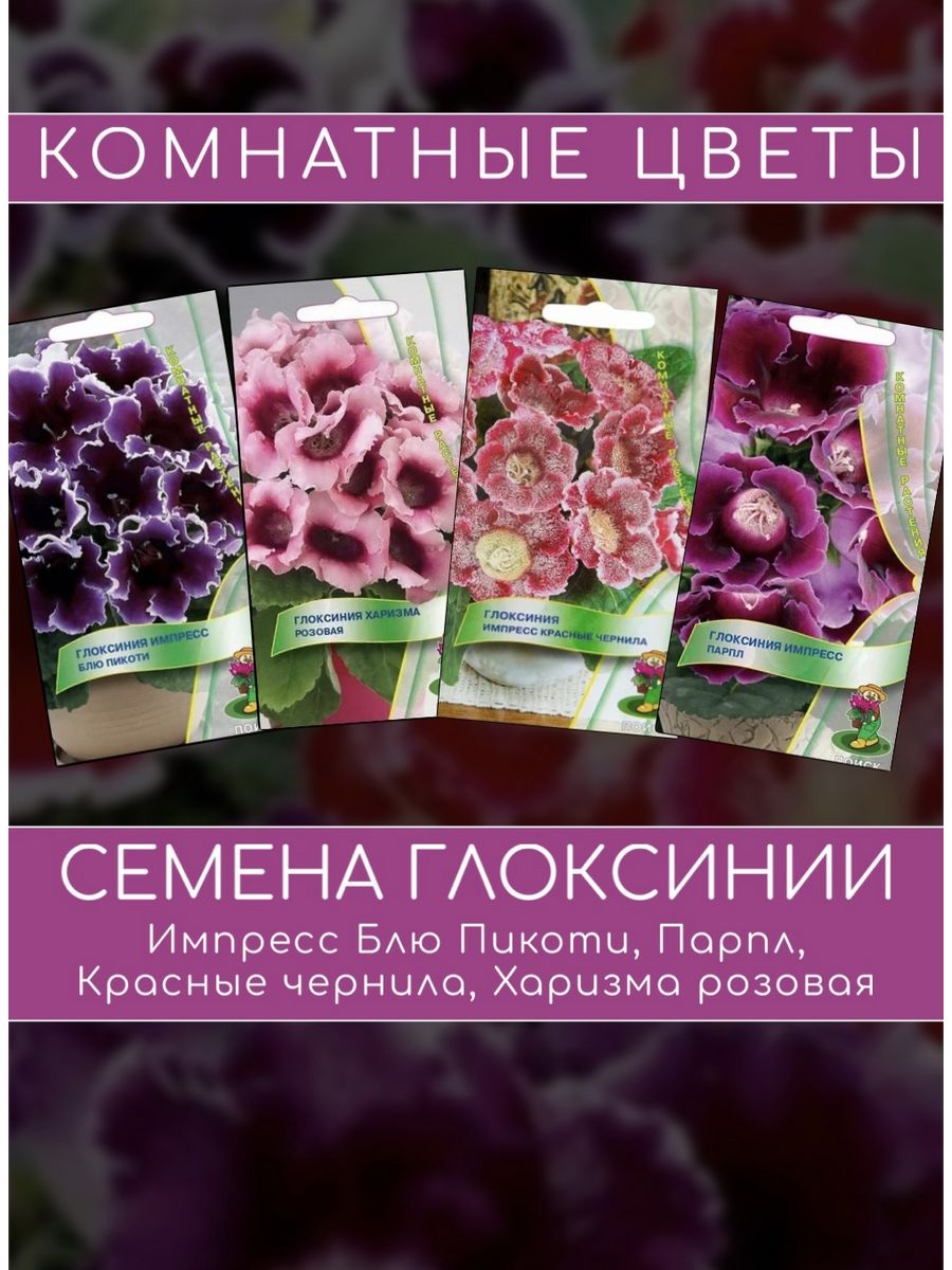 Глоксиния импресс, 5уп. Агрофирма Поиск 29298878 купить за 303 ₽ в  интернет-магазине Wildberries