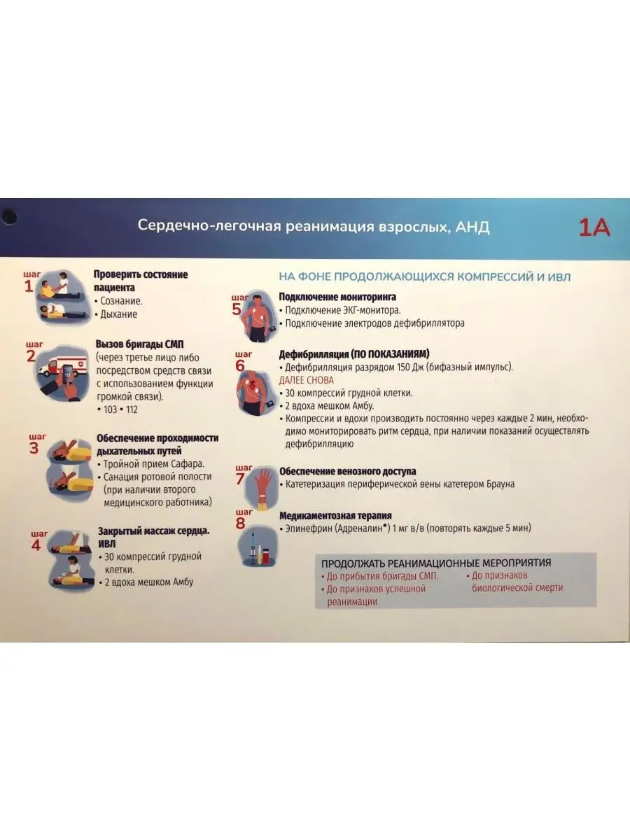 Алгоритмы неотложной помощи. Тематические карточки ГЭОТАР-Медиа 29437368  купить за 1 394 ₽ в интернет-магазине Wildberries