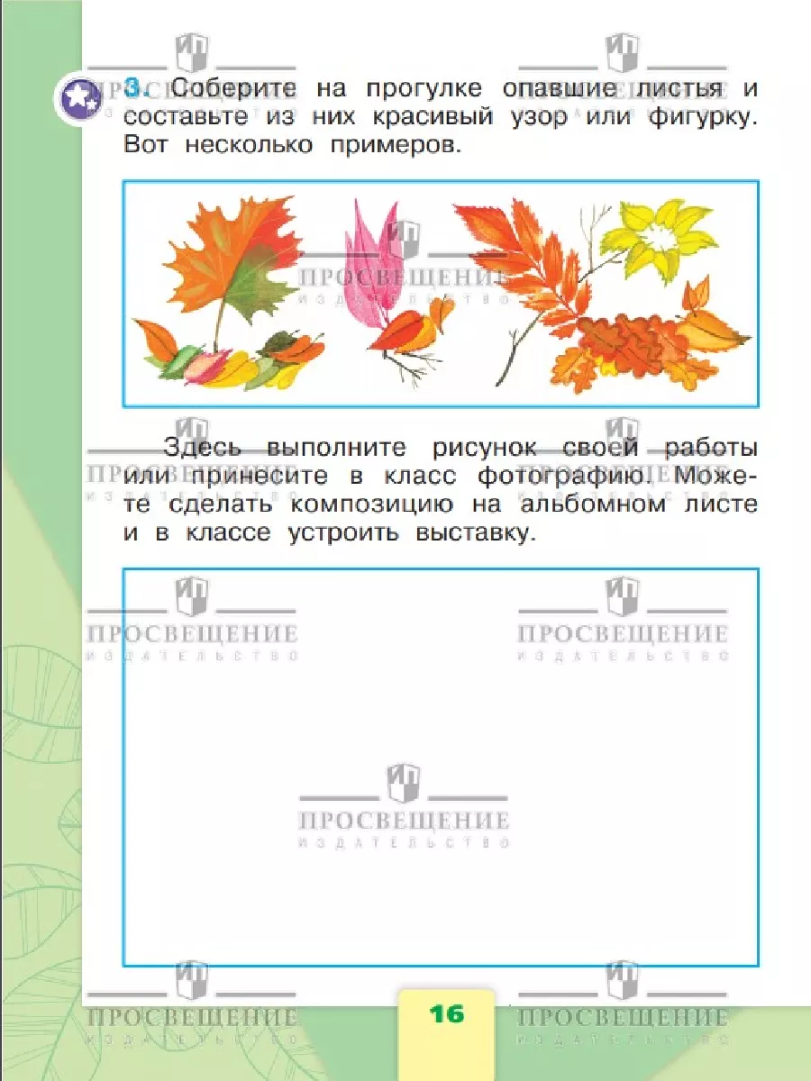 Окружающий мир Рабочая тетрадь 1 класс Просвещение 29460564 купить за 168 ₽  в интернет-магазине Wildberries