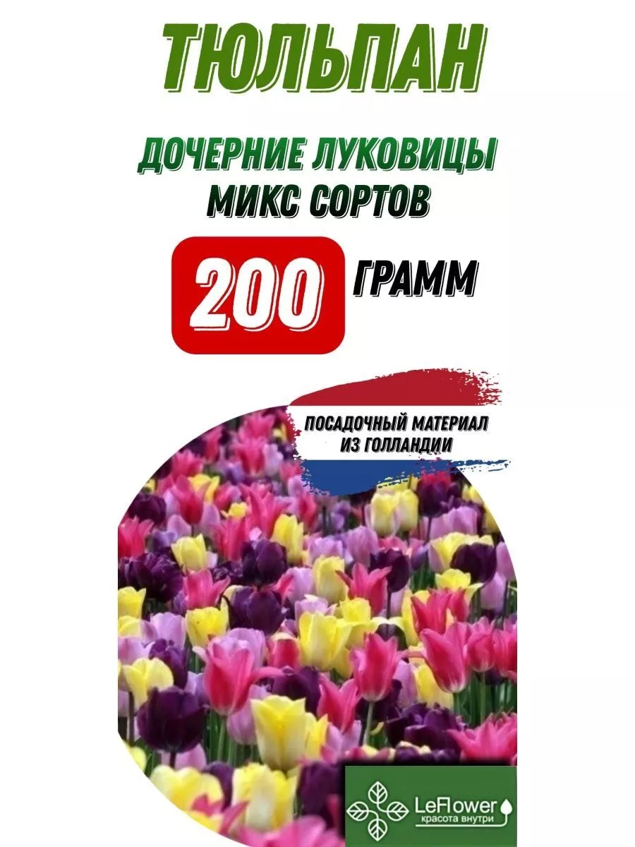 Тюльпан Луковица, дочерние, 200г Leflower 29498798 купить за 336 ₽ в  интернет-магазине Wildberries