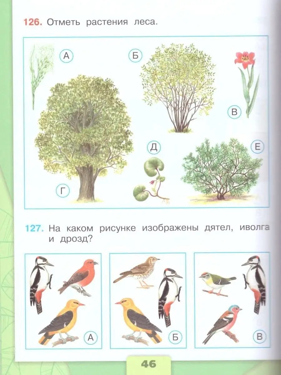 Плешаков Окружающий мир. Тесты. 4 класс Просвещение 29507360 купить за 442  ₽ в интернет-магазине Wildberries