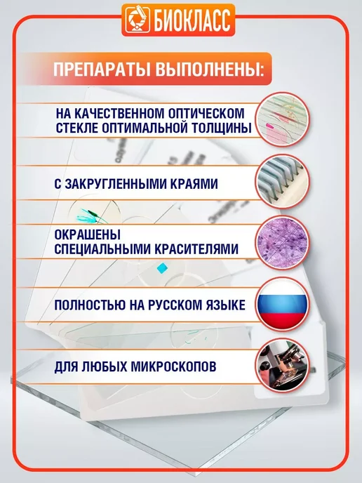 БИОКЛАСС Препараты для микроскопа 12 стекол, вариант, фото 2